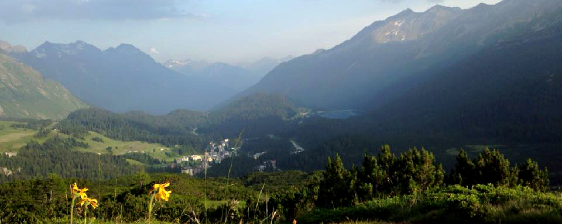 Alpe