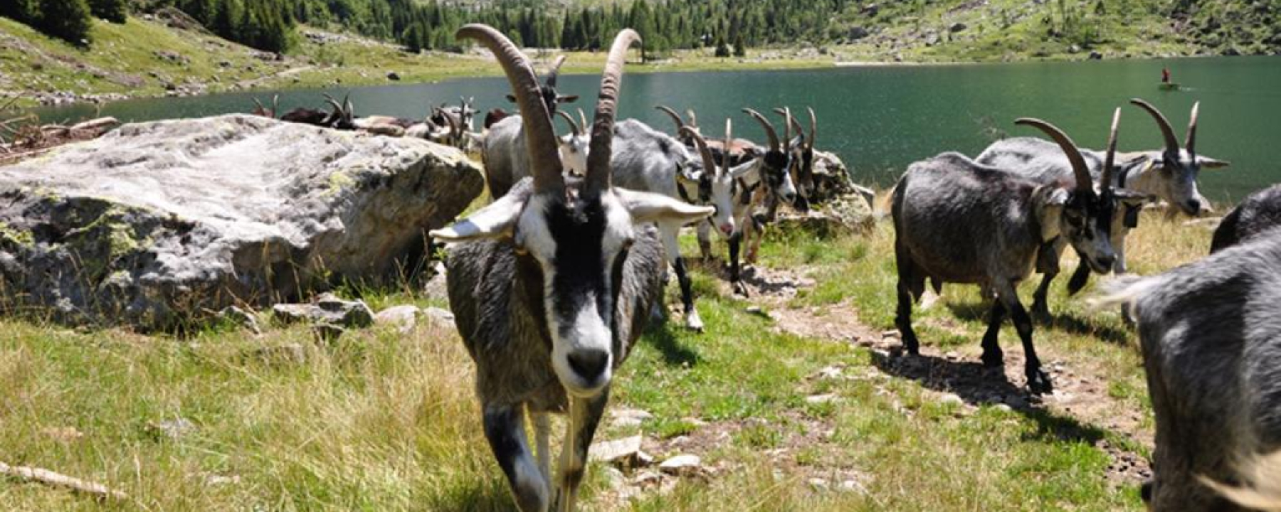 Laghetto Val Cama