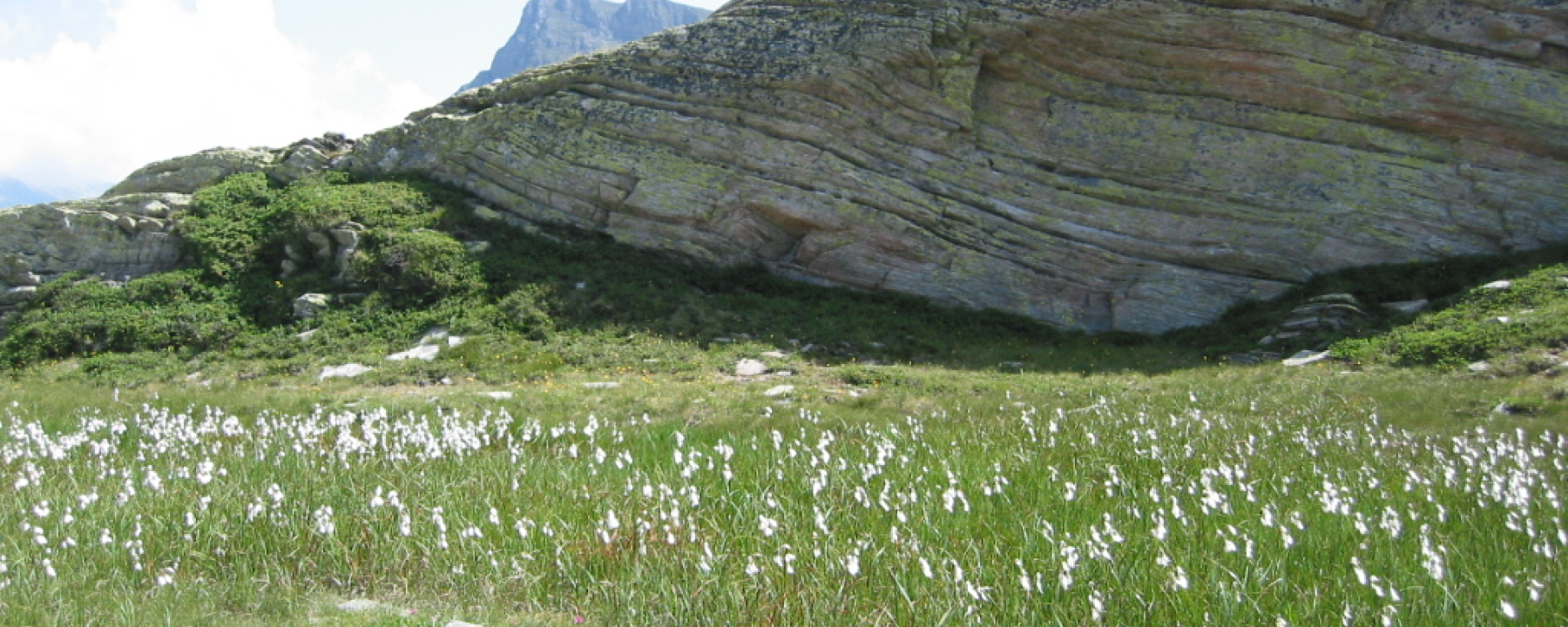 Etappe 1: auf dem San Bernardino Pass