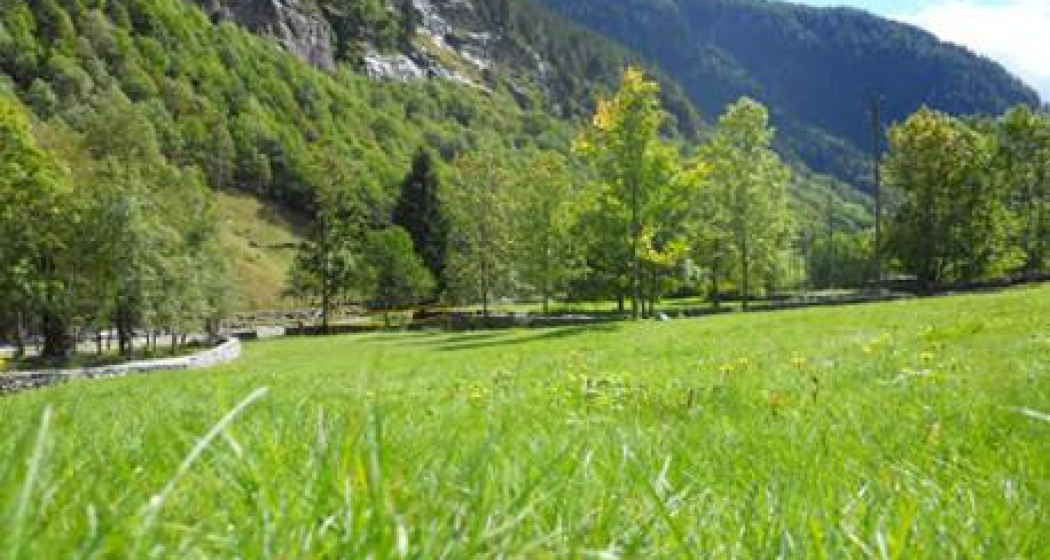 Prato della Monda - Fondazione Calanca delle Esploratrici (oua_17645026_image) Prato della Monda - Fondazione Calanca delle Esploratrici (oua_17645026_image)