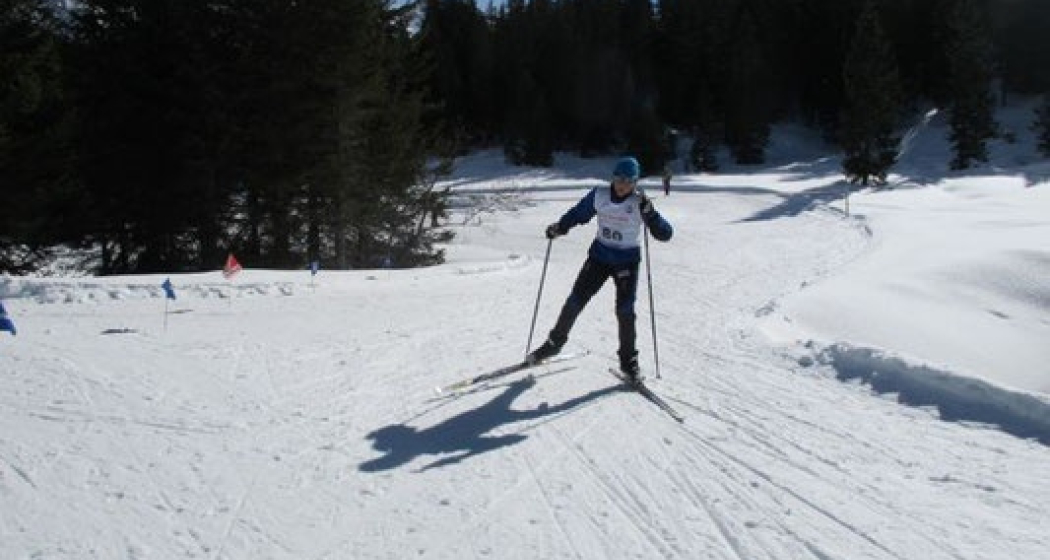 260 Pista Fracch–Diga (oua_20767731_image) 260 Pista Fracch–Diga (oua_20767731_image)