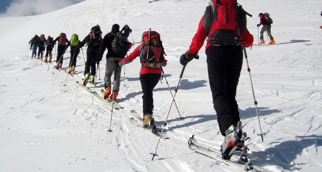 402 - Einshorn (oua_21358770_image) 402 - Einshorn (oua_21358770_image)