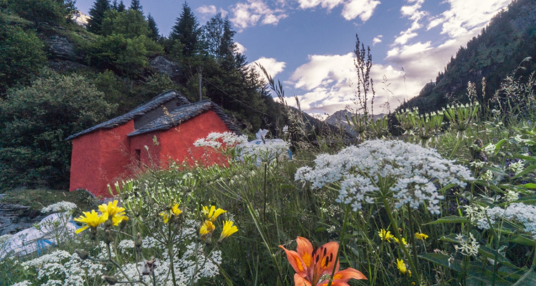 Gran Premio Rossa (oua_58986654_image) Gran Premio Rossa (oua_58986654_image)