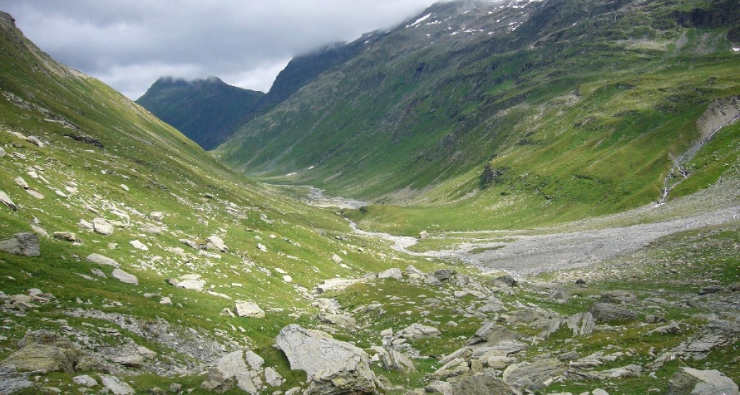 Tour Commercialstrasse (oua_600710410_image) Tour Commercialstrasse (oua_600710410_image)