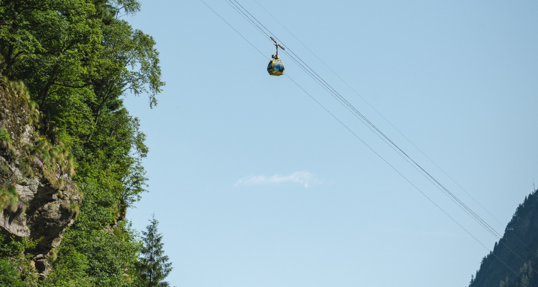 Selma - Landarenca (oua_600842314_image) Selma - Landarenca (oua_600842314_image)