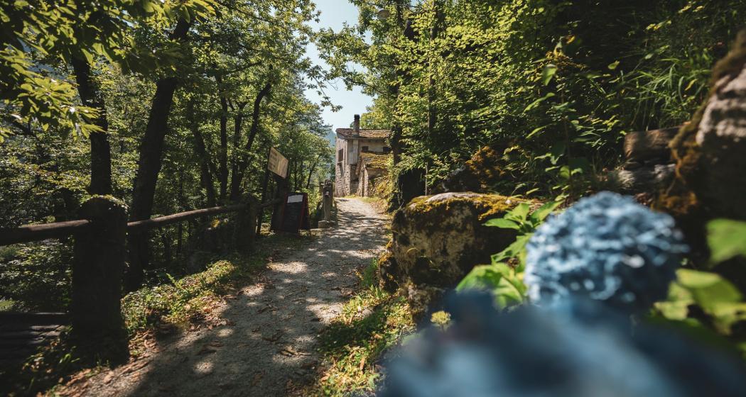 Grotto Bundi alla Bellavista (oua_600847618_image) Grotto Bundi alla Bellavista (oua_600847618_image)