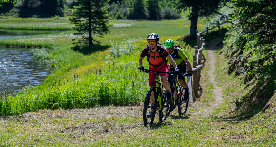 642 Pignela - San Bernardino (Mesolcina) (oua_600851146_image) 642 Pignela - San Bernardino (Mesolcina) (oua_600851146_image)