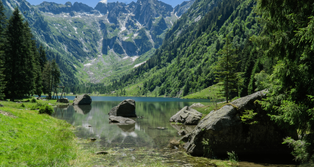 Riserva Forestale Val Cama - Val Leggia - Val Grono (oua_601700937_image) Riserva Forestale Val Cama - Val Leggia - Val Grono (oua_601700937_image)