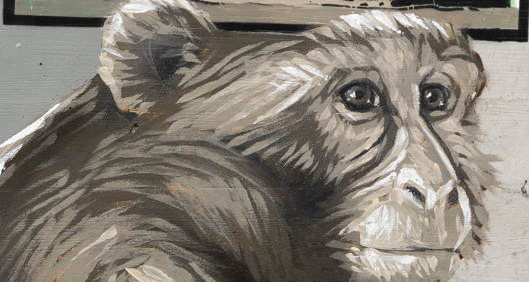 Scimmie - Pian San Giacomo - mMoMAm (oua_602081249_image) Scimmie - Pian San Giacomo - mMoMAm (oua_602081249_image)