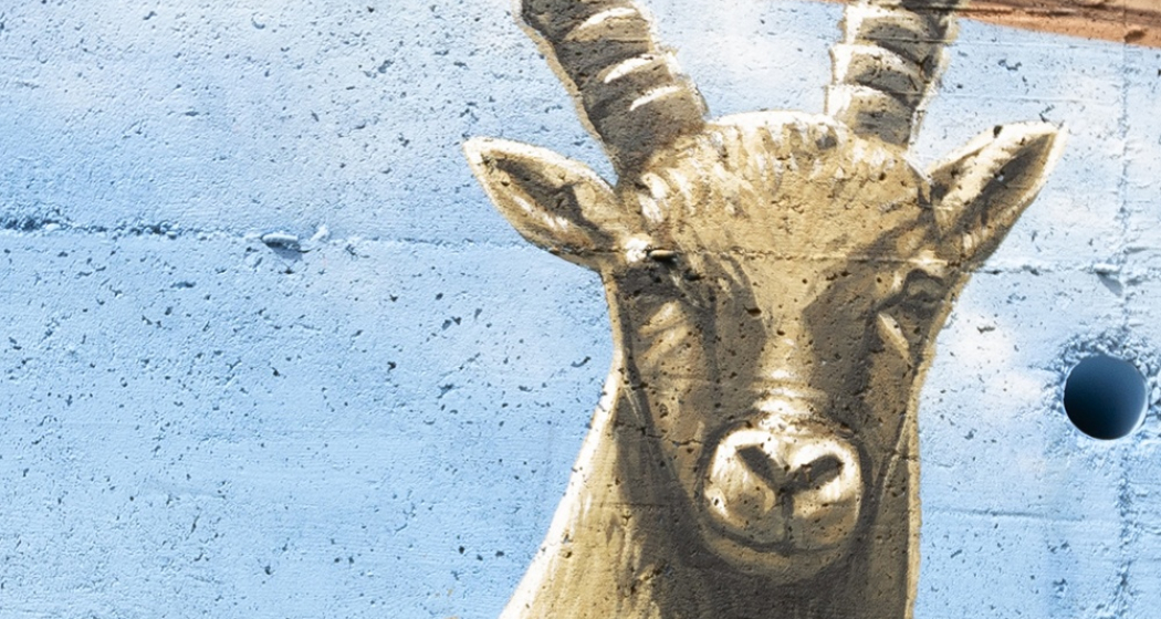 Stambecchi - Anzon - mMoMAm (oua_602105549_image) Stambecchi - Anzon - mMoMAm (oua_602105549_image)