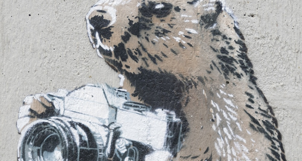 Marmotte - Scuole - mMoMAm (oua_602105605_image) Marmotte - Scuole - mMoMAm (oua_602105605_image)