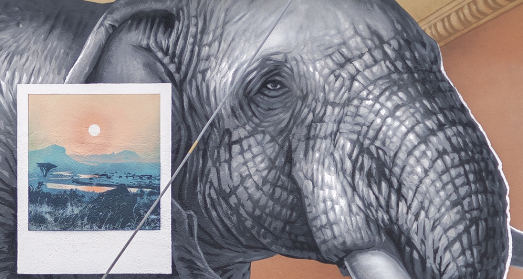 Elefante - Leso - mMoMAm (oua_602105720_image) Elefante - Leso - mMoMAm (oua_602105720_image)