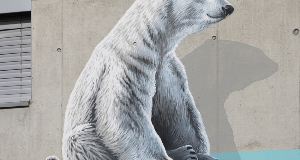 Orsi - Centro - mMoMAm (oua_602105951_image)