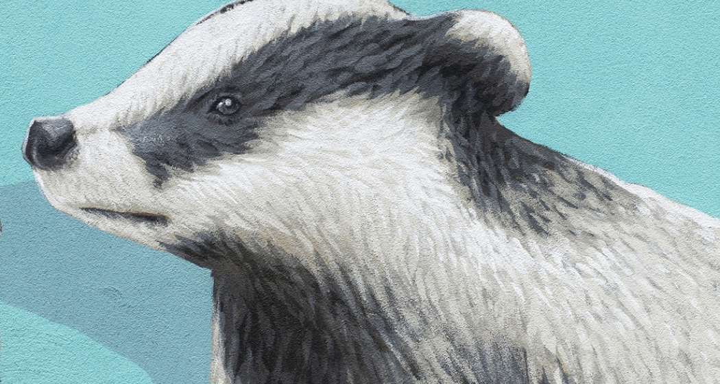 Tassi - Cebbia - mMoMAm (oua_602105998_image) Tassi - Cebbia - mMoMAm (oua_602105998_image)