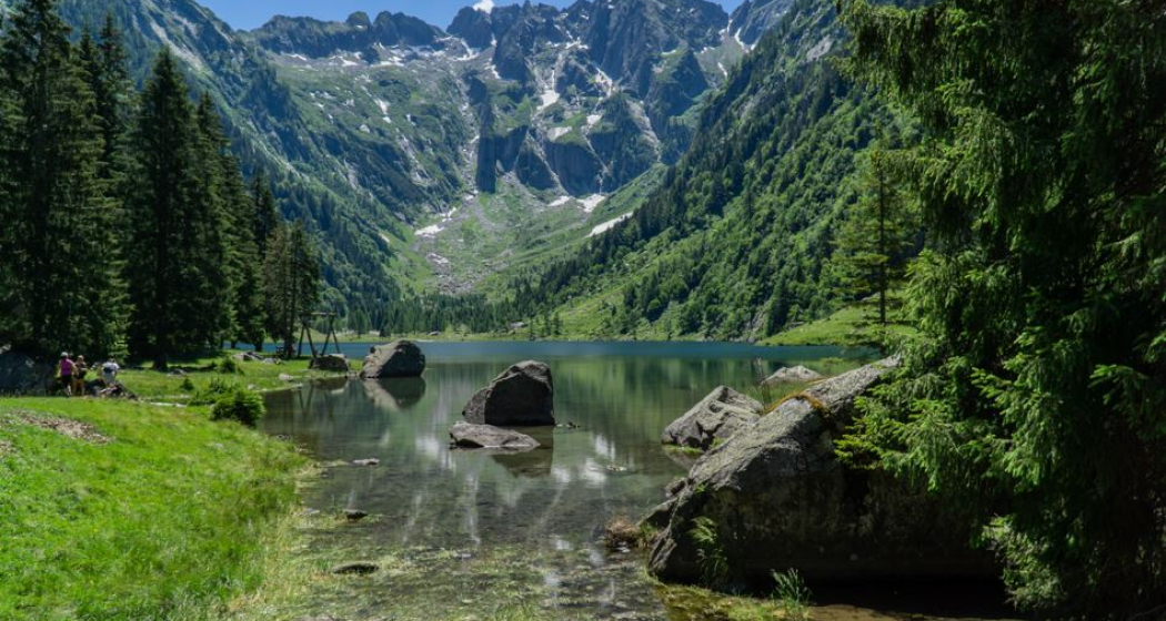 Cama (oua_602645953_image) Cama (oua_602645953_image)