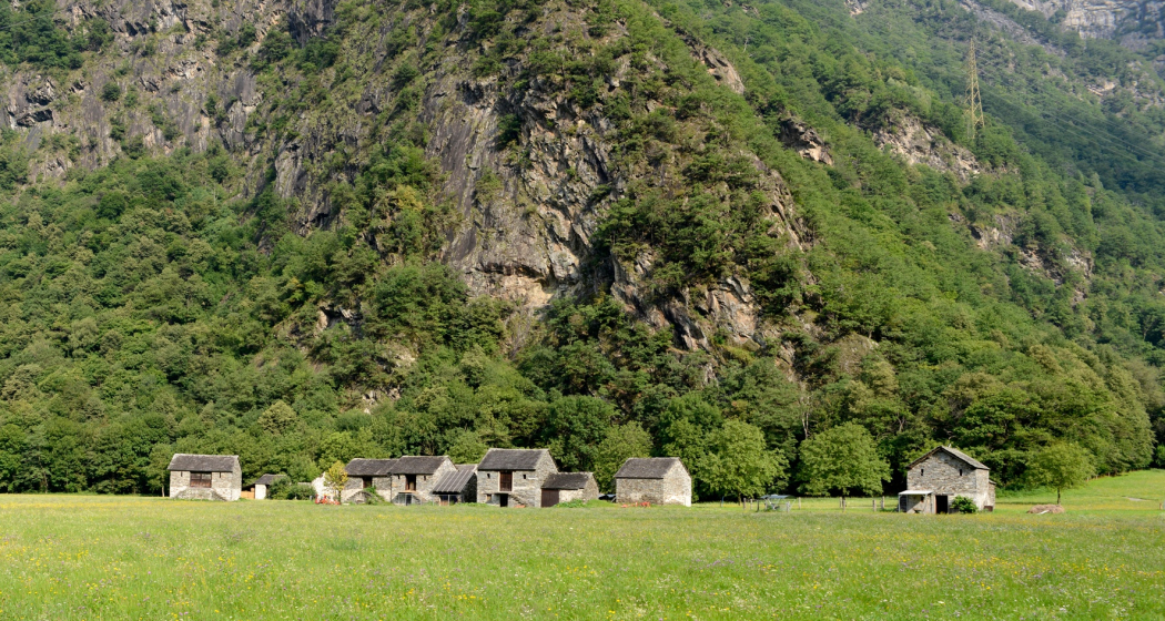 10k Lostallo (oua_602678159_image) 10k Lostallo (oua_602678159_image)