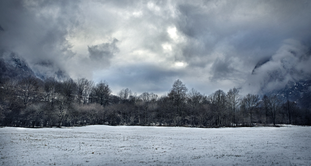 10k Lostallo (oua_602678229_image) 10k Lostallo (oua_602678229_image)