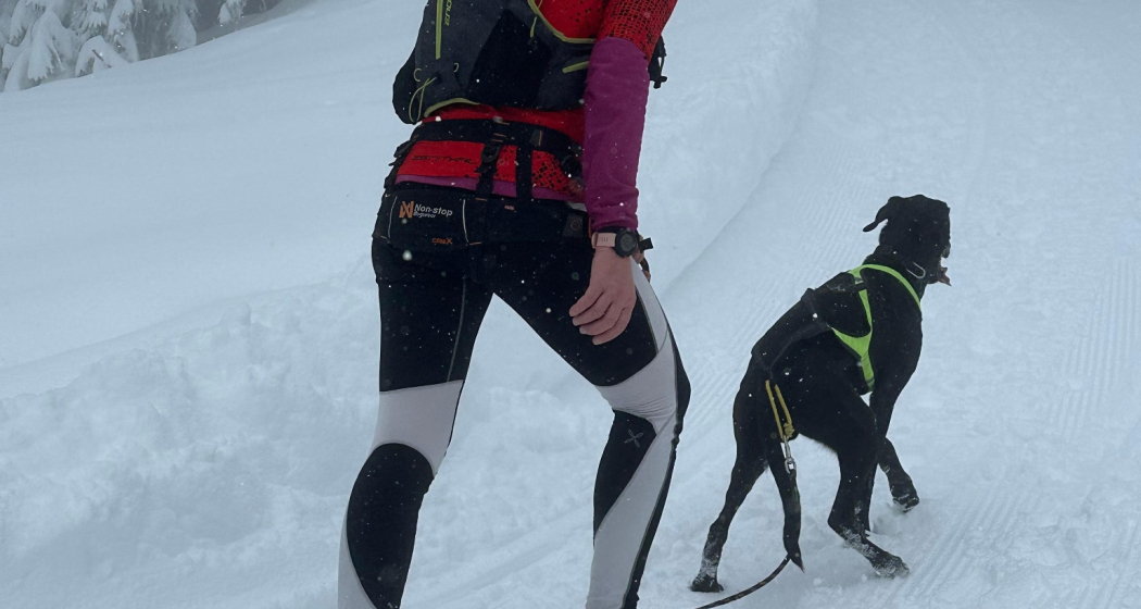 SanbeSNOWrun (ed. 2025) (oua_602679150_image) SanbeSNOWrun (ed. 2025) (oua_602679150_image)