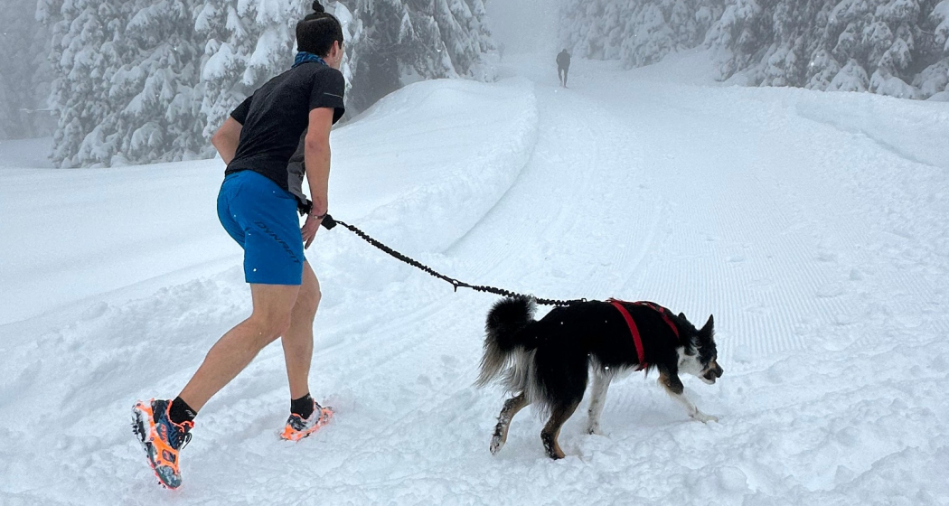 SanbeSNOWrun (ed. 2025) (oua_602679158_image) SanbeSNOWrun (ed. 2025) (oua_602679158_image)