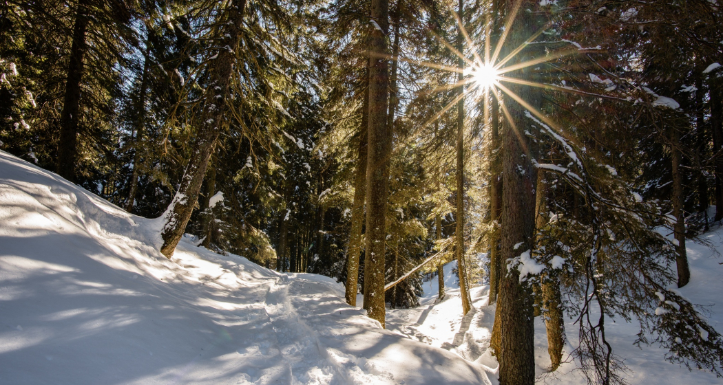Natura invernale San Bernardino Natura invernale San Bernardino