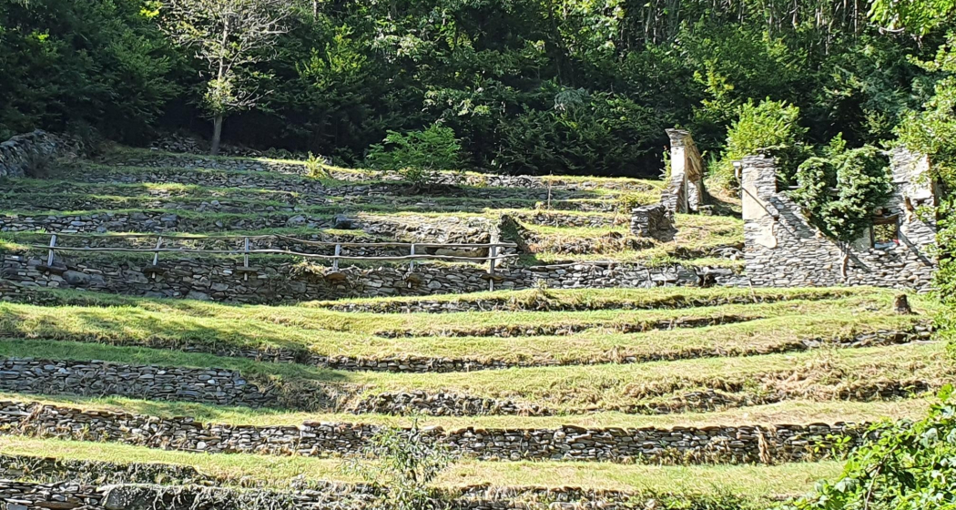 oua_62317200_image Mulini di Pisela oua_62317200_image Mulini di Pisela