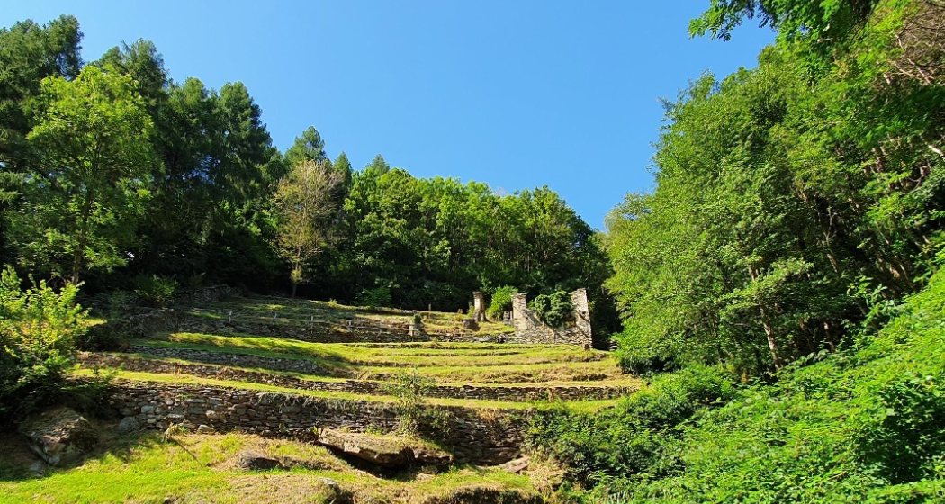oua_62317223_image Mulini di Pisela oua_62317223_image Mulini di Pisela