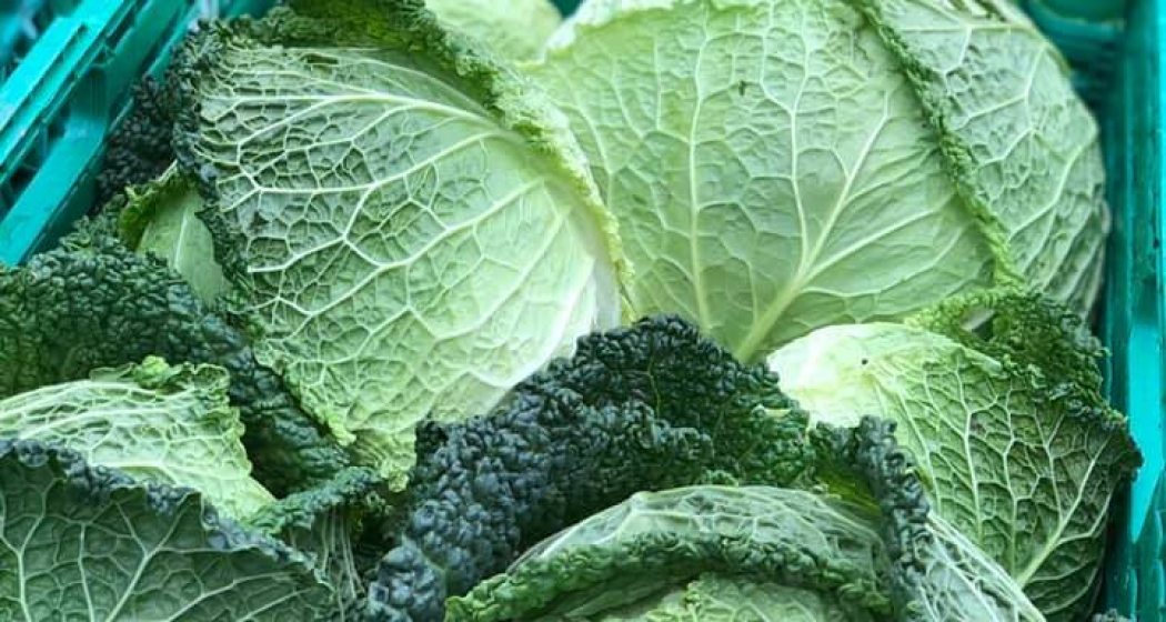 Biobarnom (oua_74678699_image) Biobarnom (oua_74678699_image)