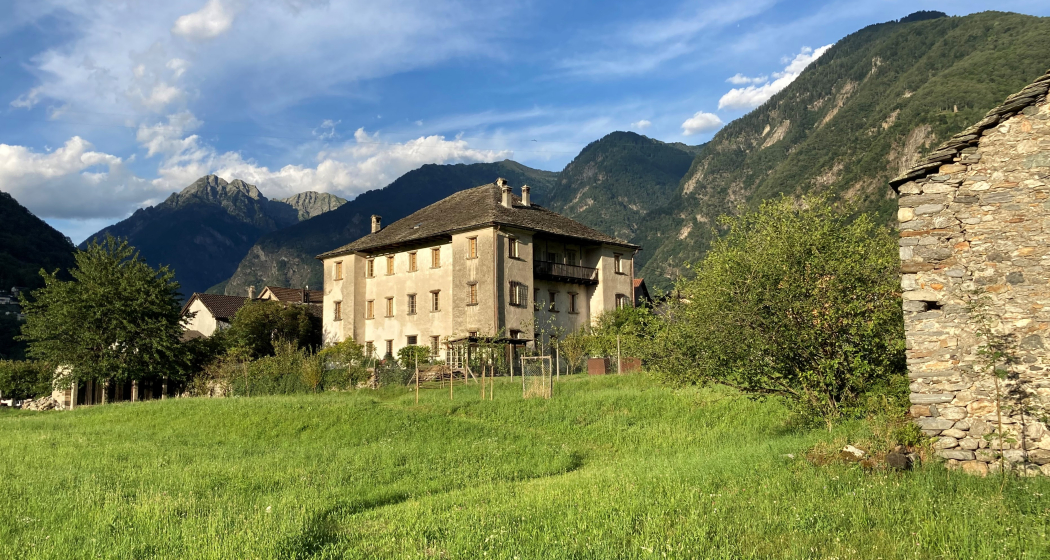 Il palazzo si trova in un area tranquilla e verdeggiante. Il palazzo si trova in un area tranquilla e verdeggiante.