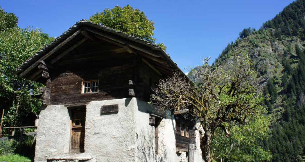 Cà da l'Ava - Fondazione Calanca delle Esploratrici (oua_78888909_image) Cà da l'Ava - Fondazione Calanca delle Esploratrici (oua_78888909_image)