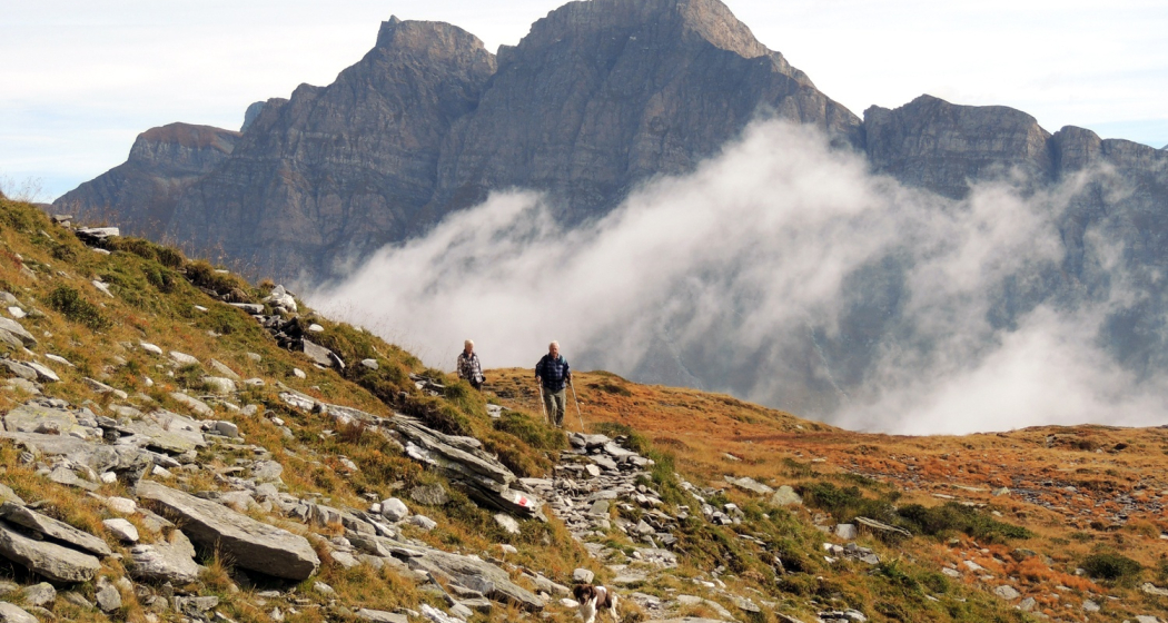 Tour Commercialstrasse (oua_81345249_image) Tour Commercialstrasse (oua_81345249_image)