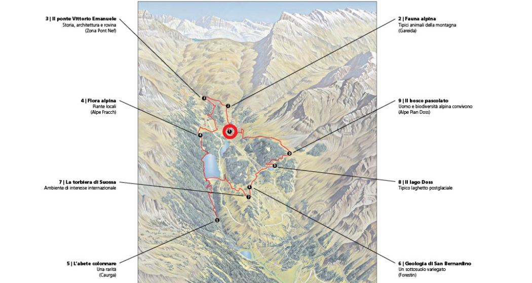 San Bernardino und seine alpine Umgebung - Themenweg (oua_91202489_image) San Bernardino und seine alpine Umgebung - Themenweg (oua_91202489_image)