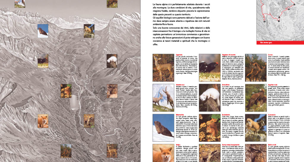 San Bernardino und seine alpine Umgebung - Themenweg (oua_91202491_image) San Bernardino und seine alpine Umgebung - Themenweg (oua_91202491_image)