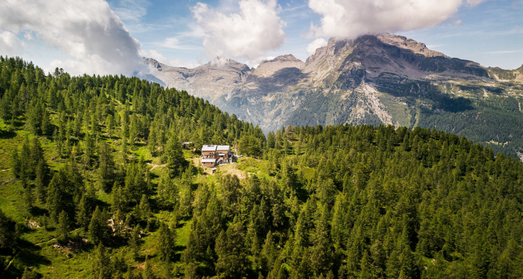 Buffalorahütte Buffalorahütte