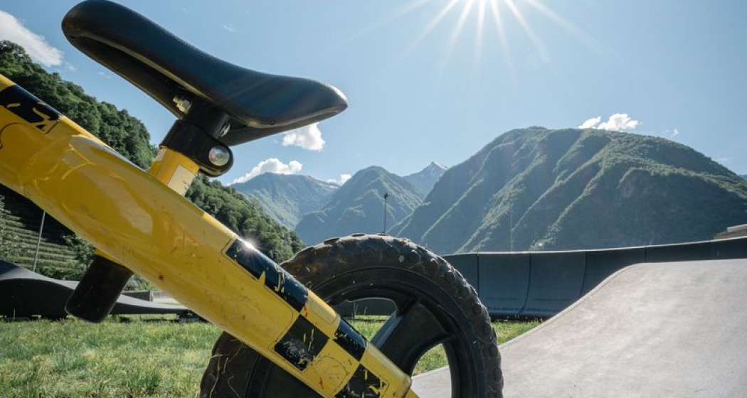 Roveredo (oua_99402425_image)