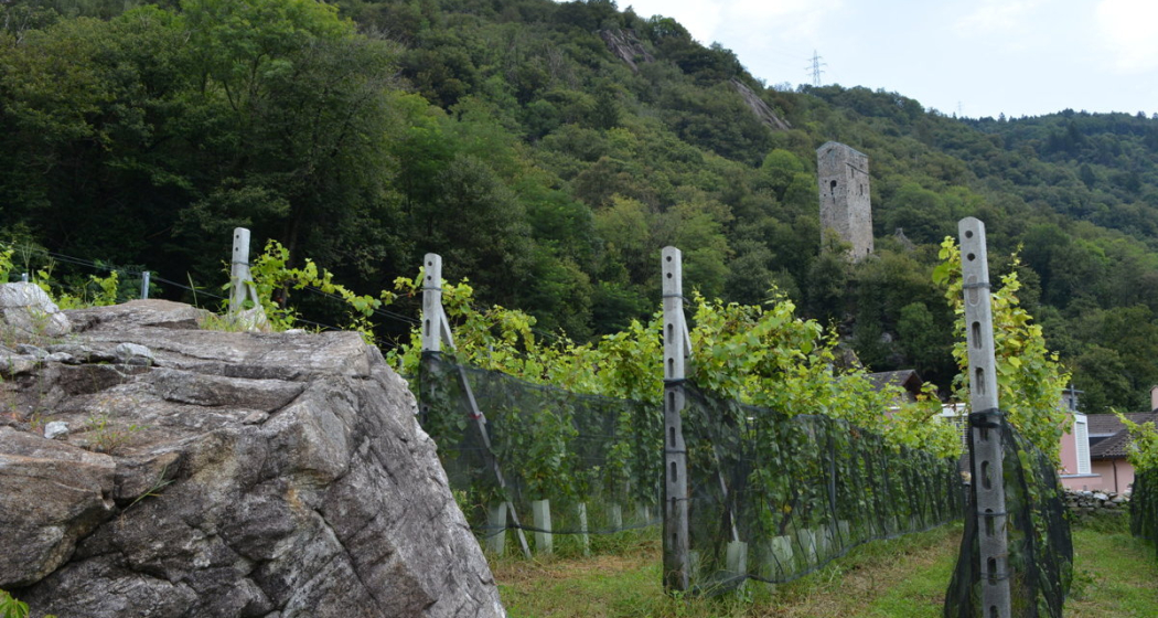 Cantina Ai Filat (oua_99461217_image)