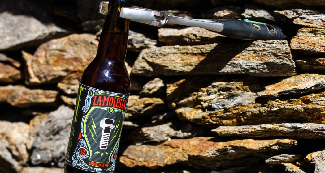 PD Bier (oua_99506505_image) PD Bier (oua_99506505_image)