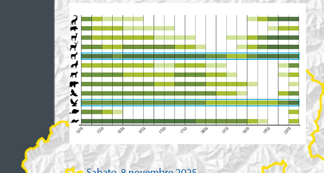 ATLANTE STORICO DEI GRIGIONI 1524 - 2024 (gdl_899887446_image) ATLANTE STORICO DEI GRIGIONI 1524 - 2024 (gdl_899887446_image)