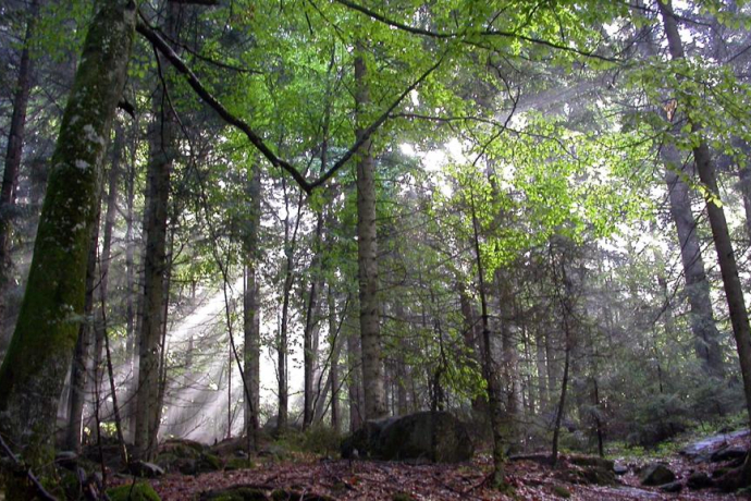 Val Cama - Trail running (oua_17547525_image) Val Cama - Trail running (oua_17547525_image)