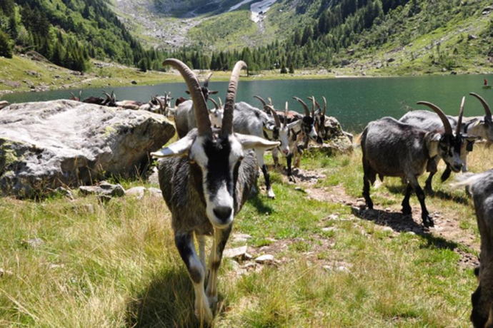 Val Cama (oua_17547598_image) Val Cama (oua_17547598_image)