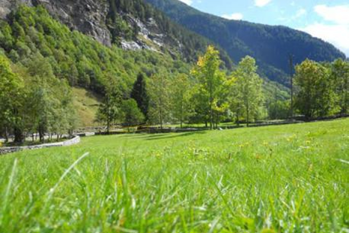 Prato della Monda - Fondazione Calanca delle Esploratrici (oua_17645026_image)