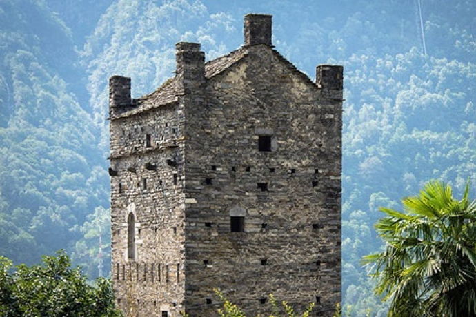 Grono (oua_28352488_image) Grono (oua_28352488_image)