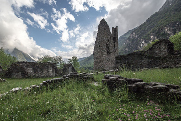 Cama (oua_28352588_image)