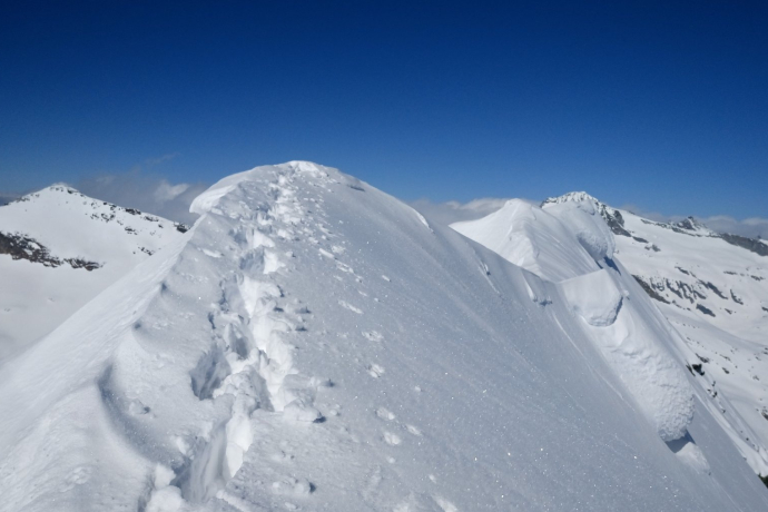 oua_56029221_image 405 - Zapporthorn