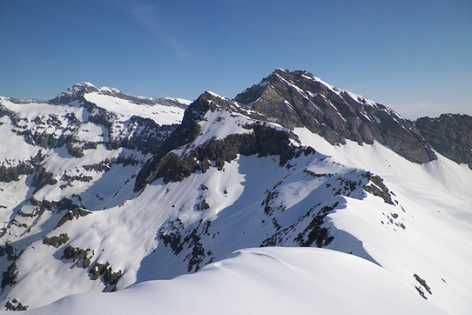 oua_56029222_image 405 - Zapporthorn