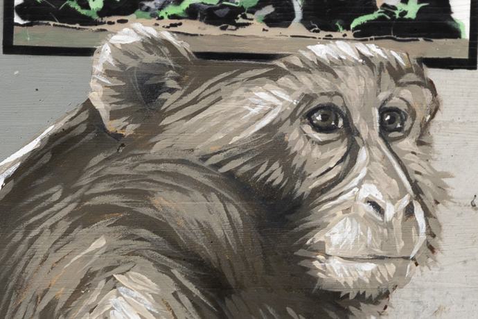 Scimmie - Pian San Giacomo - mMoMAm (oua_602081249_image)