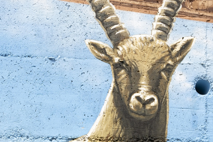 Stambecchi - Anzon - mMoMAm (oua_602105549_image) Stambecchi - Anzon - mMoMAm (oua_602105549_image)