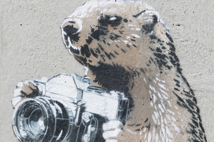 Marmotte - Scuole - mMoMAm (oua_602105605_image) Marmotte - Scuole - mMoMAm (oua_602105605_image)