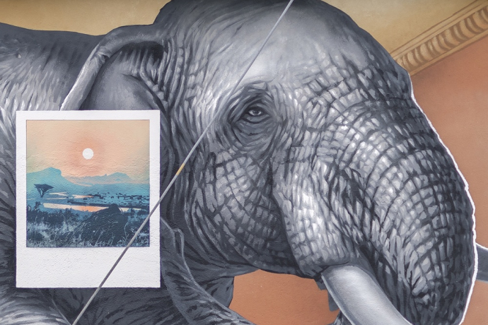 Elefante - Leso - mMoMAm (oua_602105720_image) Elefante - Leso - mMoMAm (oua_602105720_image)