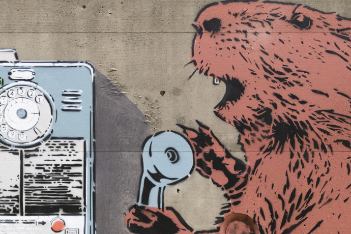 Castori - Deira - mMoMAm (oua_602105913_image) Castori - Deira - mMoMAm (oua_602105913_image)