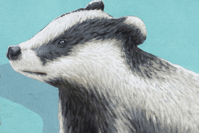 Tassi - Cebbia - mMoMAm (oua_602105998_image) Tassi - Cebbia - mMoMAm (oua_602105998_image)